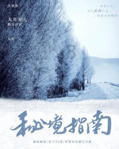 狂野的飙客无敌版