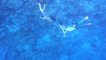 ABB SPAJ140C 组合式过电流和接地故障继电器