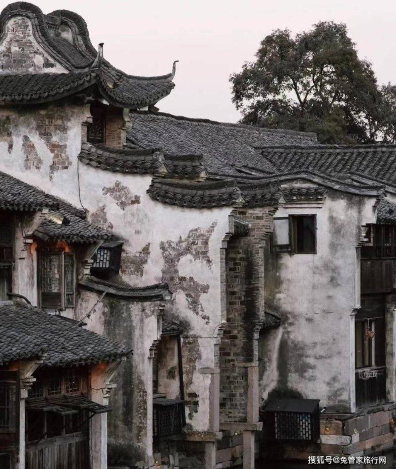 世界上最大的蛇究竟有多大？游戏画面